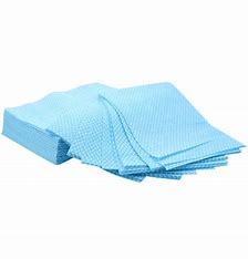 E G L Professional All purpose Cloth Blue - 100 pcs